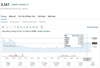 Cập nhật giá khí tự nhiên LNG 2025 - Xu hướng tăng nhẹ